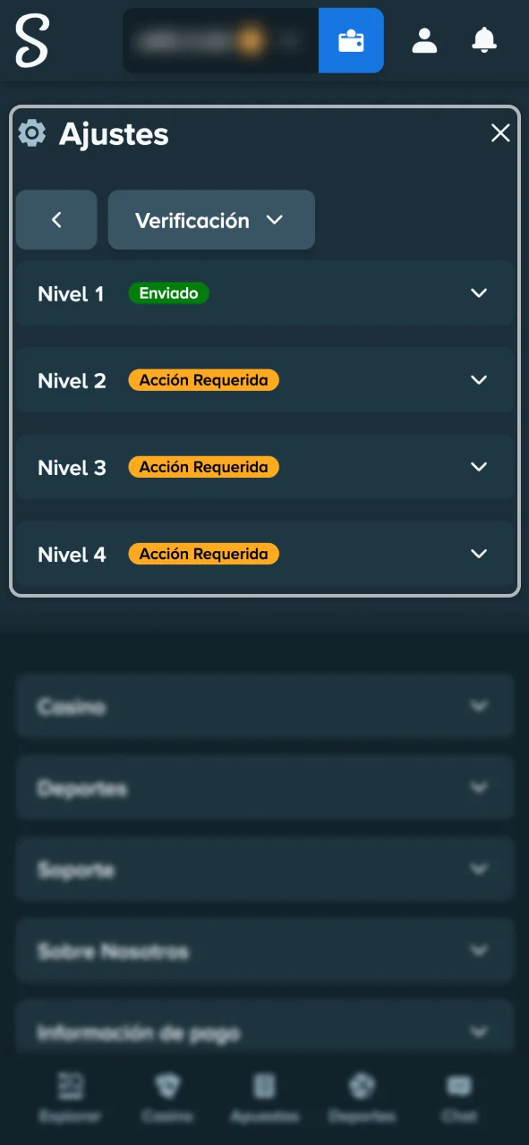 La cuenta de Stake queda verificada tras seguir las instrucciones del correo.
